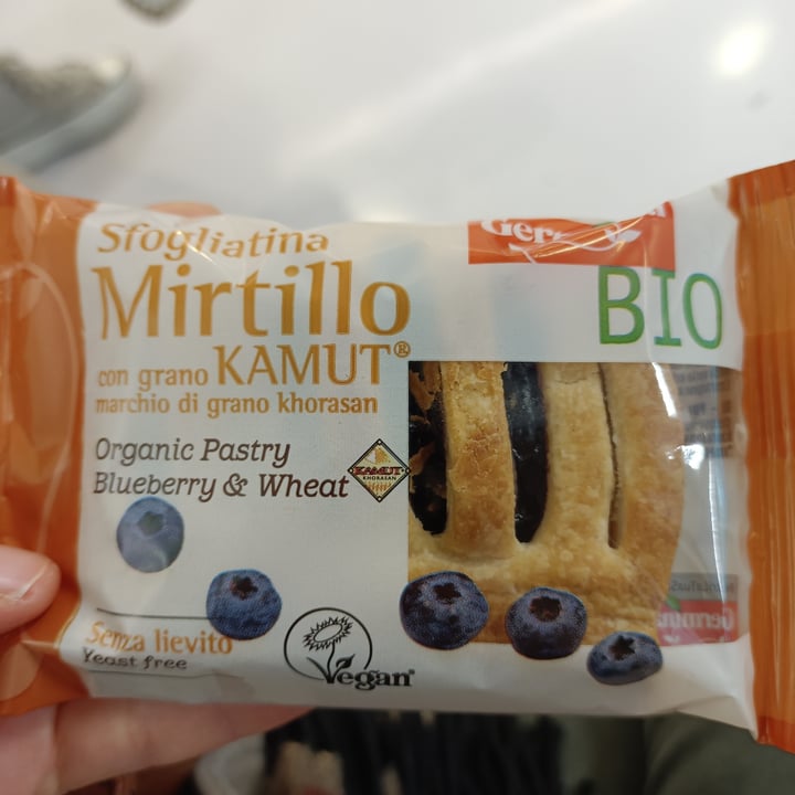 photo of Germinal Bio sfogliatina al mirtillo shared by @fede02 on  21 Mar 2024 - review