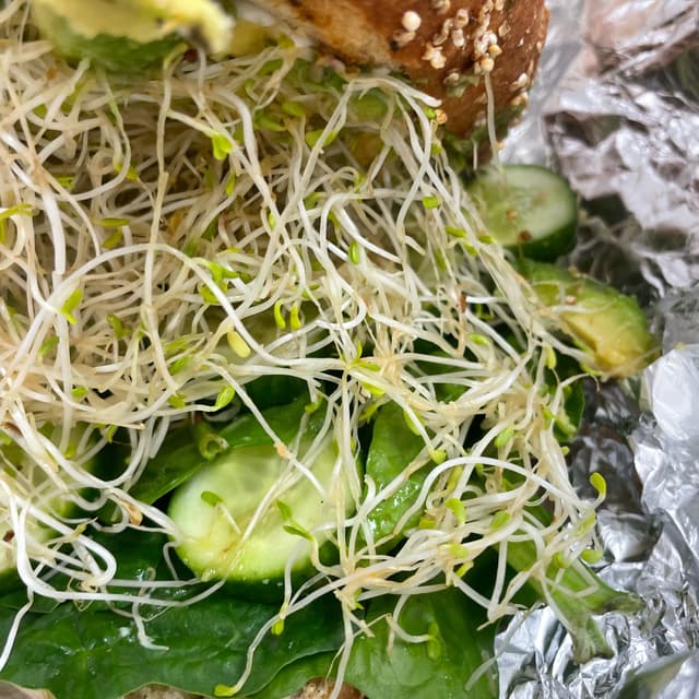 Photo of the dish “Sandwich Oro Verde”