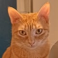 @miocillo0 profile image