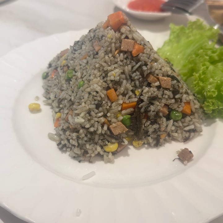 photo of Fo You Yuan 佛有缘素食馆 Olive fried rice shared by @cslin90 on  16 May 2024 - review