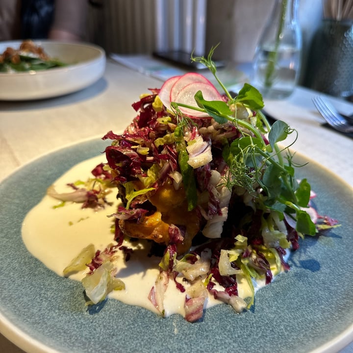 photo of Vegan Restoran V Vegetable-lentil lasagne with white wine sauce and zucchini-pesto salad shared by @vegantravels on  14 Sep 2023 - review