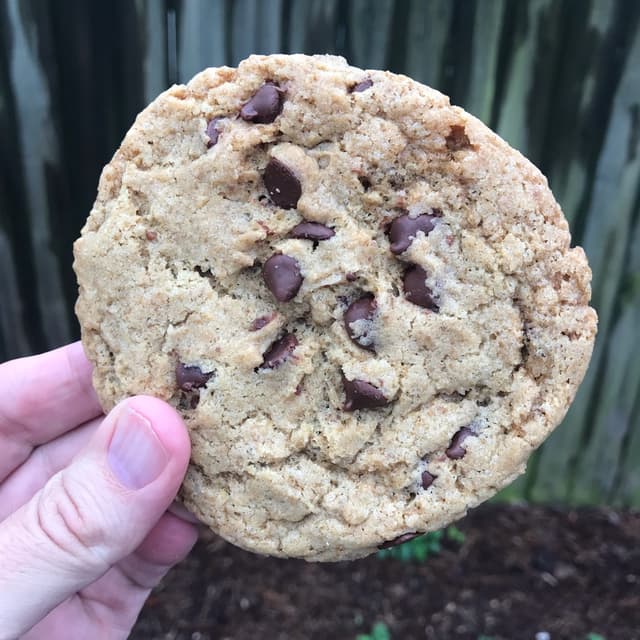 Photo of the dish “Chocolate Chip Cookie”
