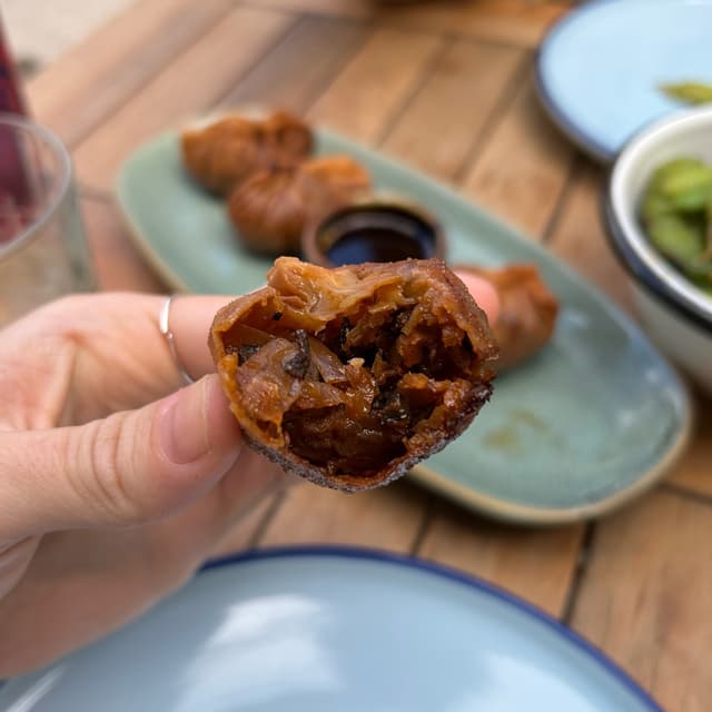 Photo of the dish “Vegan Fried Dumplings”