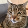 curtistheweirdcat