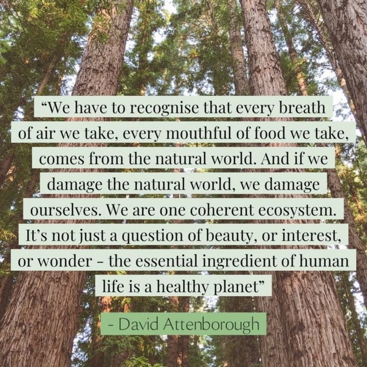 photo shared by @veganalchemy on  23 Sep 2025 - post