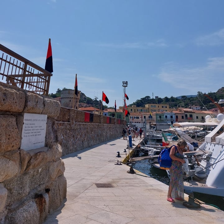 photo of Bar Solari Coppetta 2 gusti mora del Giglio e fico del Giglio shared by @cloudyaquilegia on  17 Aug 2025 - review