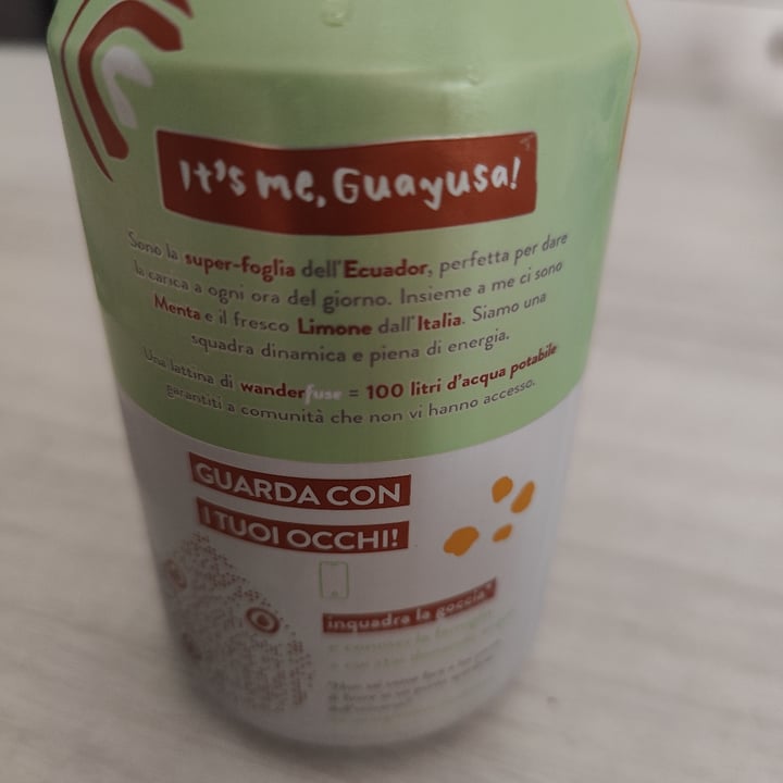 photo of WAMI Wander fuse (guayusa, menta, limone) shared by @felv on  13 Aug 2024 - review