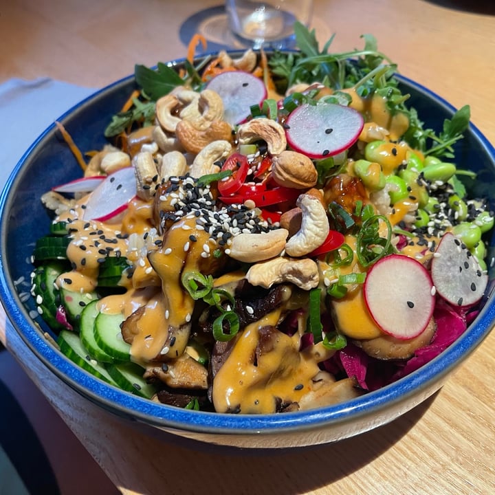 photo of RoseHip Vegan Bistro Teriyaki Tempeh Bowl shared by @ro-ngodrup-dorje on  09 Sep 2025 - review
