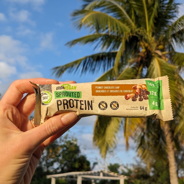 photo of Iron Vegan Sprouted Protein Bar Peanut Chocolate Chip shared by @jandrews on  10 Feb 2024 - review