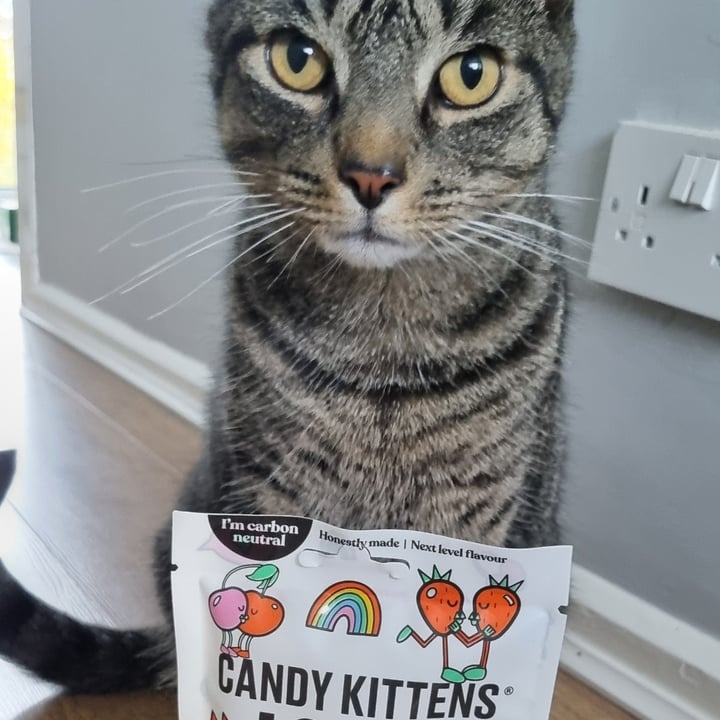 photo of Candy kittens Loves Ashton Attzs shared by @martieffe90 on  16 Aug 2024 - review