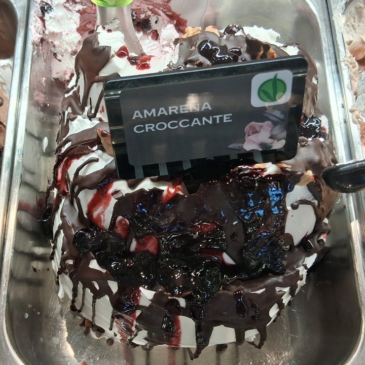 photo of Gelateria Dolcemente Cattolica gelato bacio e amarena croccante shared by @queenmary on  29 Aug 2025 - review