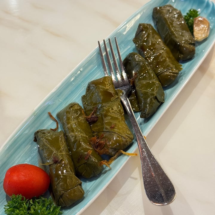 photo of Shabestan Dolma shared by @vegan-ravana on  03 Aug 2025 - review