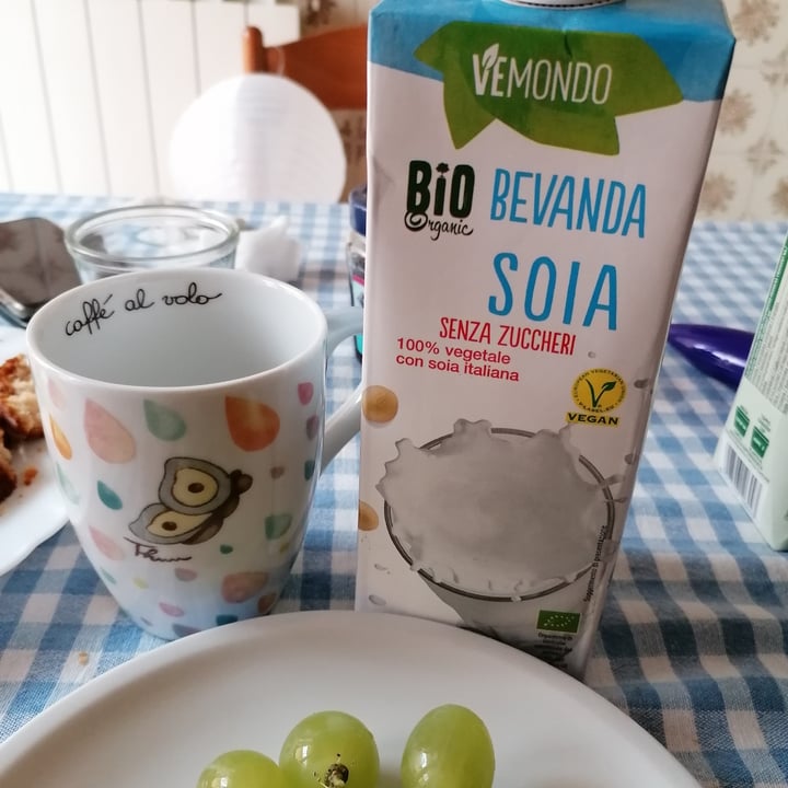 photo of Vemondo Bio Bevanda Soia shared by @antolilla on  05 Sep 2023 - review