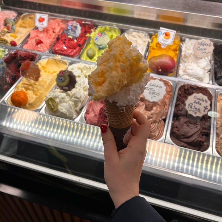 photo of Gelateria Della Palma Cono Vegan shared by @carlottaferrero on  21 Mar 2025 - review