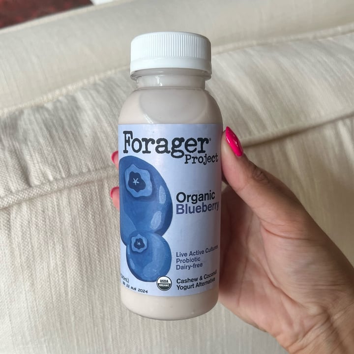 photo of Forager Project Cashewmilk Yogurt Smoothie Blueberry shared by @pvxo on  12 Jul 2024 - review