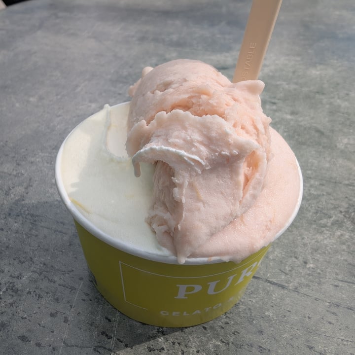 photo of PURO gelato & caffé Rabarber ijs shared by @vganbeast on  08 Apr 2025 - review