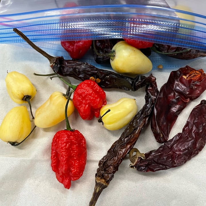 photo of 19th Avenue Farmers Market Hot Peppers shared by @veglocked on  05 Oct 2023 - review