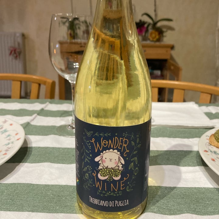 photo of la Fattoria di Nonno Peppino Vino Wonder Wine shared by @valedv on  29 Apr 2024 - review