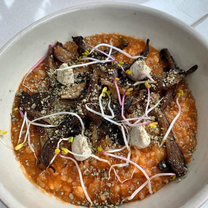 photo of Mudrá risotto de hongos y salsa shared by @signorinaluciana on  23 Jan 2025 - review