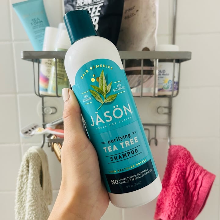 photo of Jāsön Purifying Tea Tree Shampoo shared by @alexanicole on  16 Sep 2025 - review