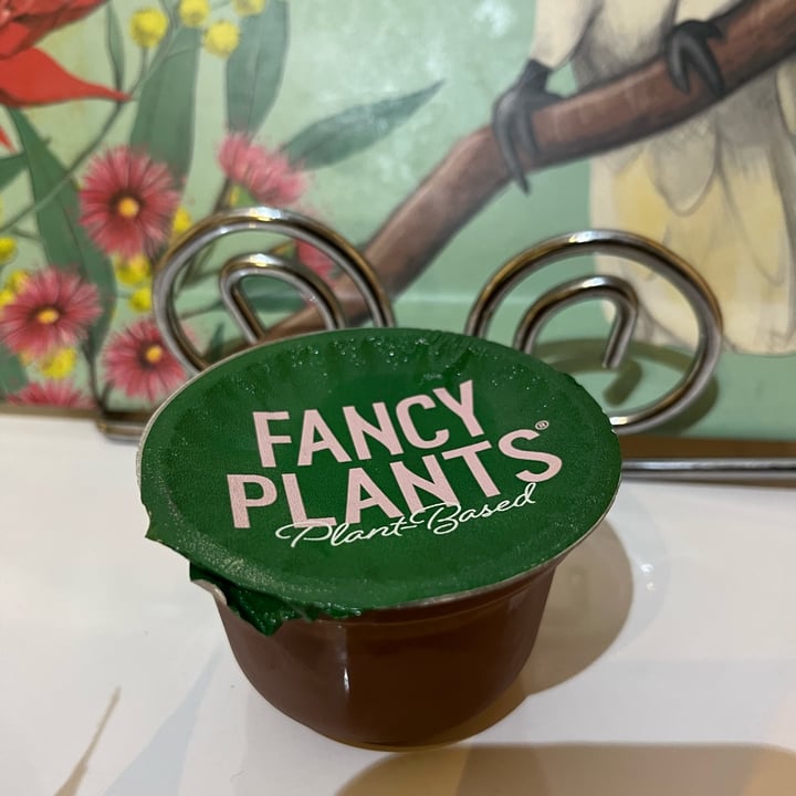photo of Fancy Plants Chocolate Silky Pot shared by @soy-orbison on  16 Oct 2023 - review