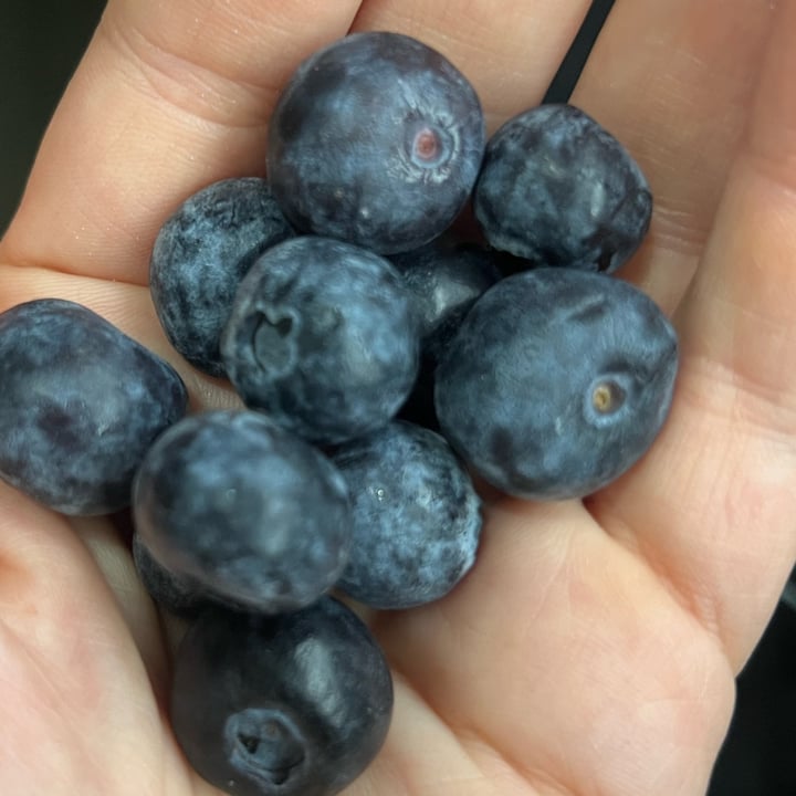 photo of southern sun Bluberries shared by @lauradeluca on  17 Dec 2024 - review