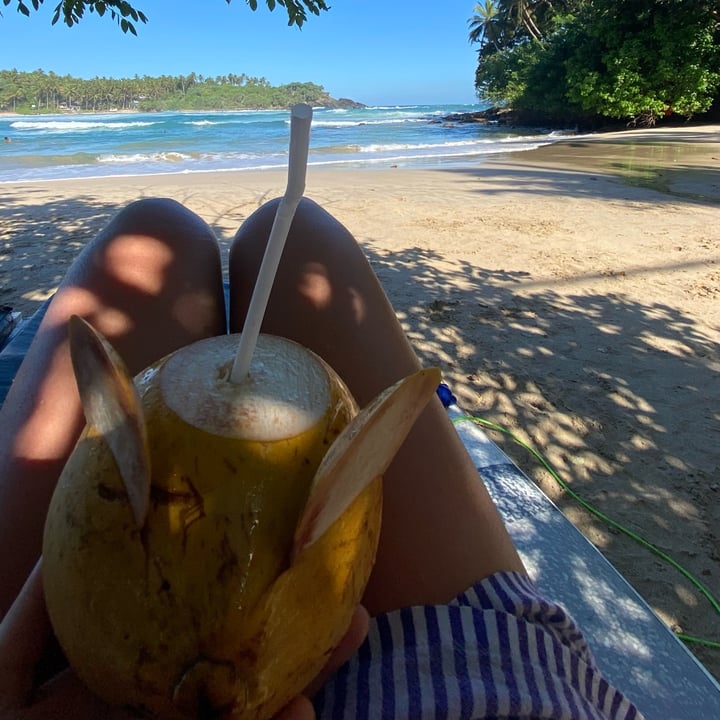 photo of Hiriketiya beach bus Restaurant Coconut shared by @embroadway on  25 Aug 2023 - review