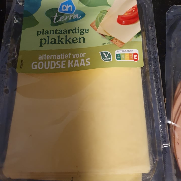 photo of Terra vegan gouda cheese shared by @nogtatirj on  26 Feb 2024 - review