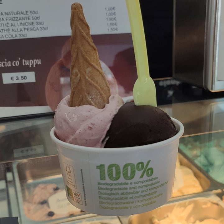 photo of Gelateria Stefania Gelato Artigianale shared by @claudiasquillante on  12 May 2024 - review