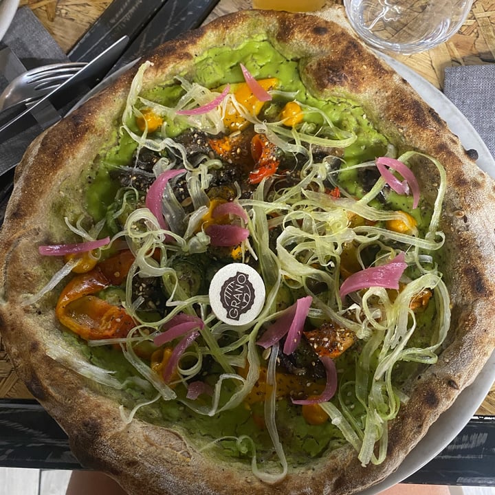 photo of Il Drago Verde Ristorante Pizzeria VEGANA shared by @virginiapatafi on  31 Jul 2025 - review
