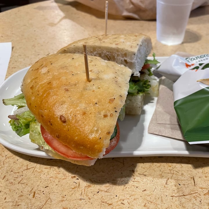 photo of Panera Bread Mediterranean Veggie Sandwich shared by @avafortheanimals on  12 May 2024 - review