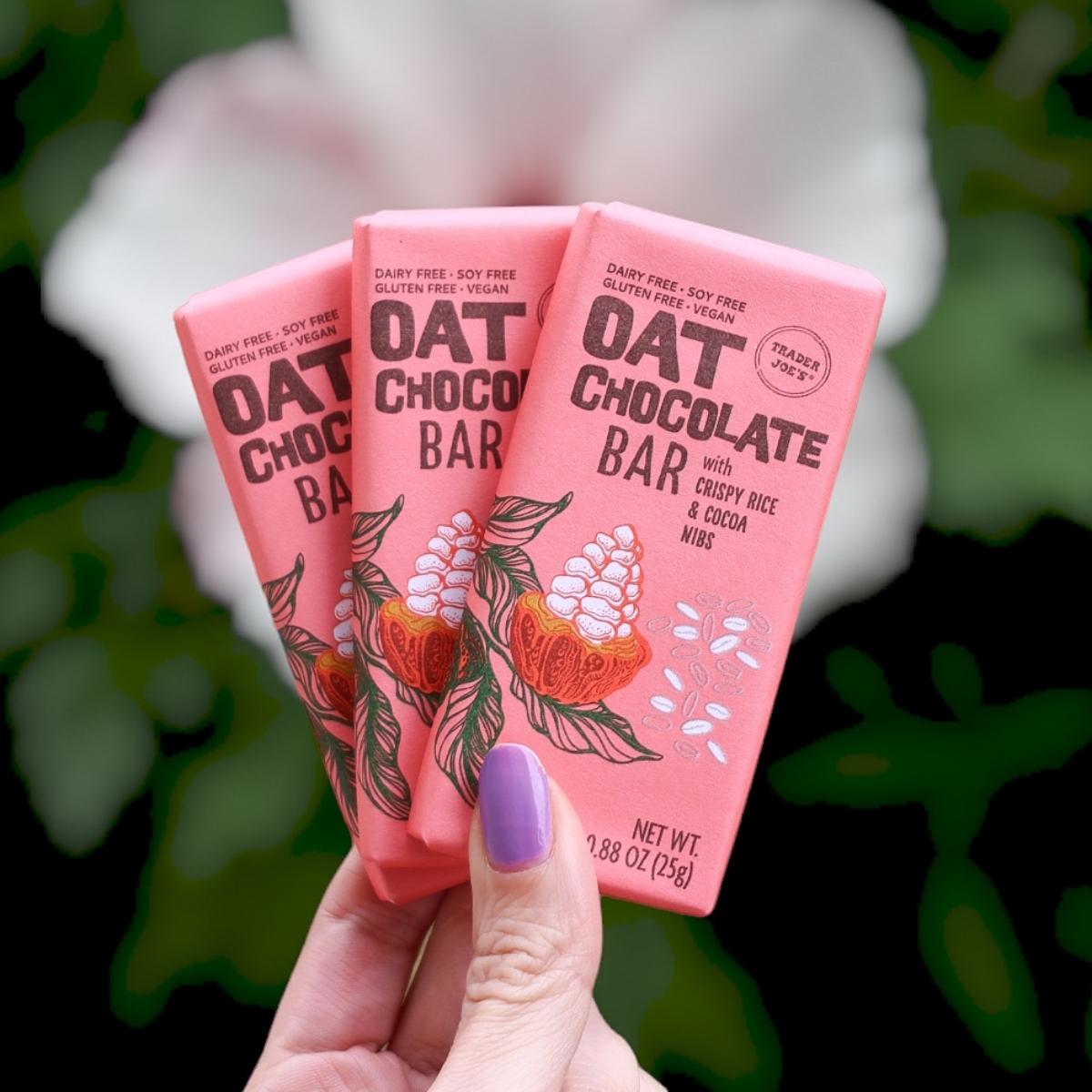 Trader Joe's Oat Chocolate Bars with Crispy Rice and Cocoa Nibs Reviews