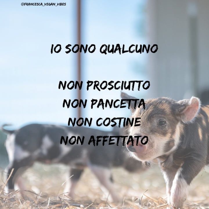 photo shared by @francescalattanzi on  14 Aug 2024 - post