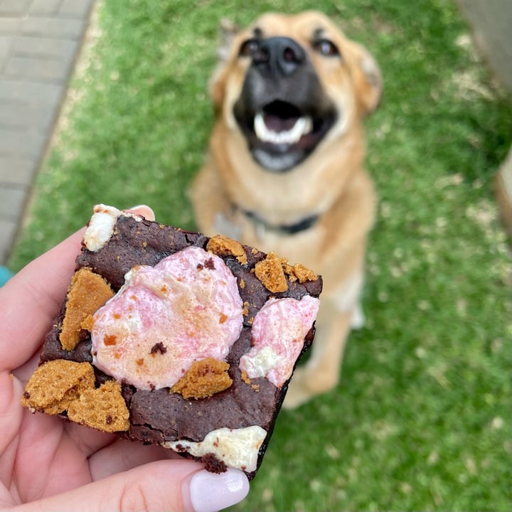 photo of Blooming Brownies S’mores shared by @jeanne-marie on  08 Mar 2024 - review