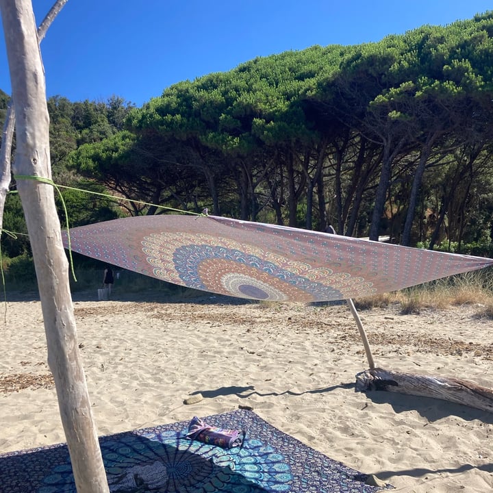 photo of Coop focaccia rotonda shared by @soleiljaune on  13 Jul 2025 - review