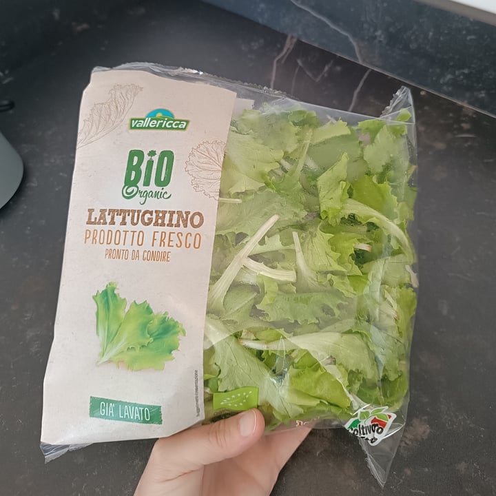 photo of Vallericca Bio Lattughino shared by @danidea on  12 Apr 2024 - review