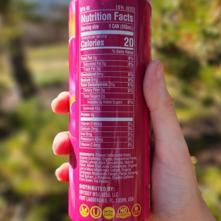 photo of Odyssey Mushroom Elixir Dragonfruit Lemonade Mushroom Elixir shared by @rosieb33 on  08 Mar 2024 - review