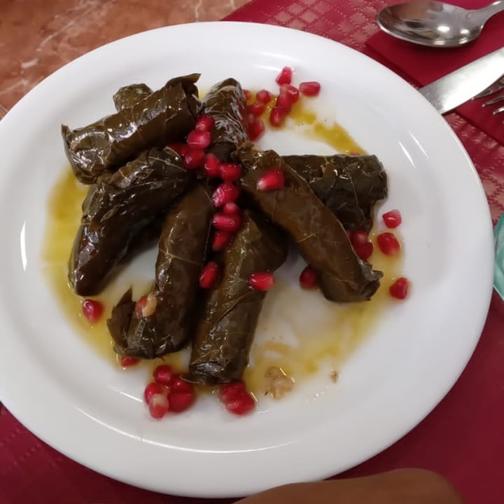 photo of El Libanés Dolma shared by @albaricoque9 on  25 Apr 2024 - review