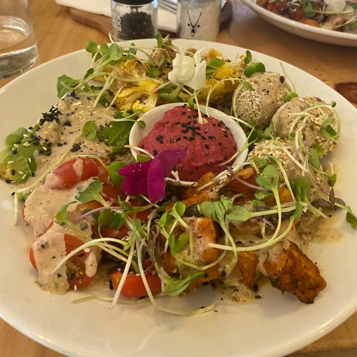 photo of Wildsprout Buddha Bowl shared by @appletreenat on  05 Oct 2023 - review