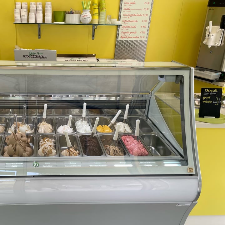 photo of Sagapò Gelateria Spotorno gelato shared by @veganredvelvet on  11 Sep 2025 - review