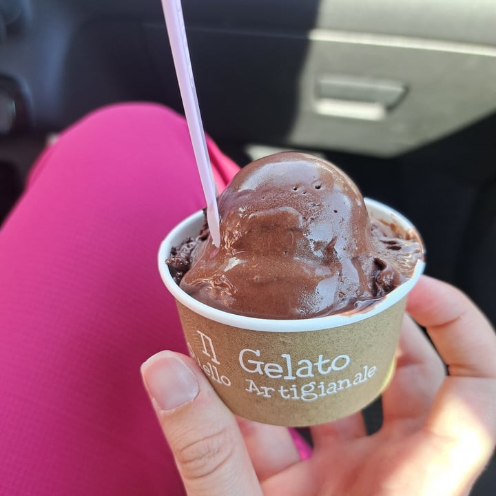 photo of Gelateria Antartik Castions cioccolato fondente shared by @nikyveg on  03 Oct 2023 - review