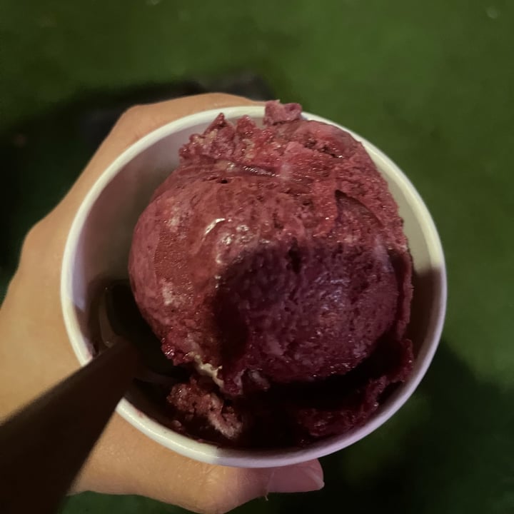 photo of Salt & Straw Blackberry Tamale Ice Cream shared by @plantpowerpal on  09 Nov 2024 - review