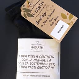 H-earth