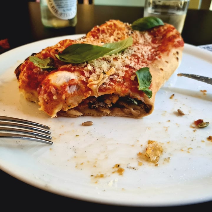 photo of Plant A Pizza Spring Calzone shared by @gabrielaadina on  17 Sep 2023 - review