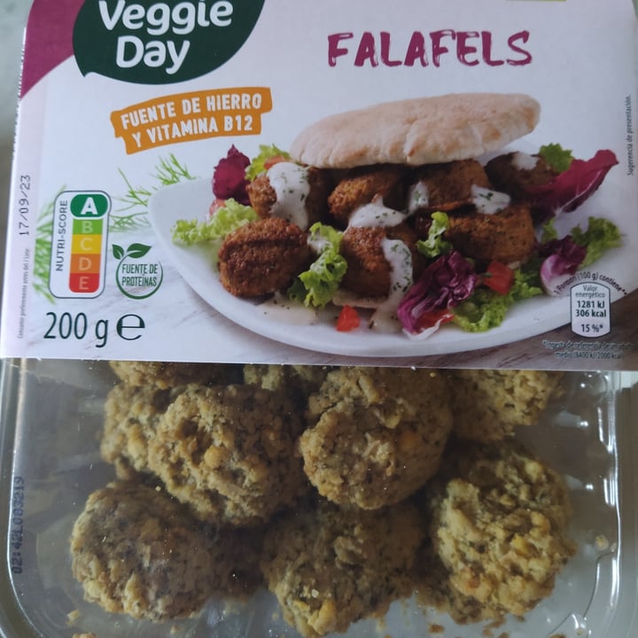 photo of My veggie day Falafell shared by @marinasnchez on  23 Aug 2023 - review