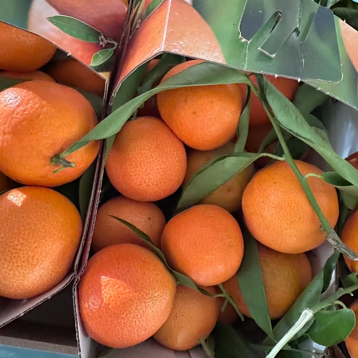 photo of Siritide frutta clementine shared by @babette on  15 Nov 2024 - review