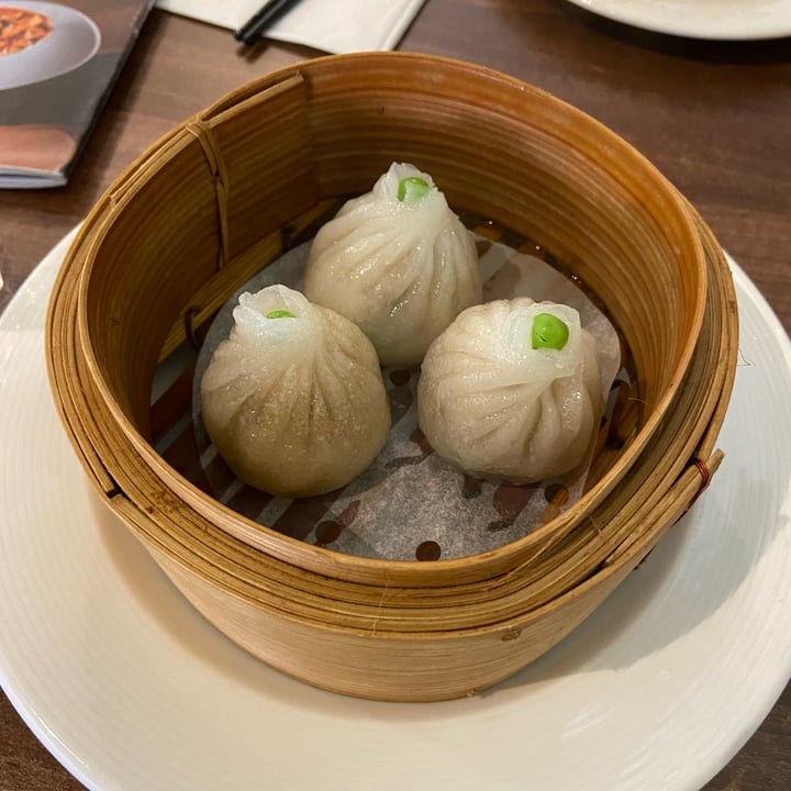 photo of Vegan Planet Soup Dumplings shared by @gio24601 on  15 Sep 2023 - review