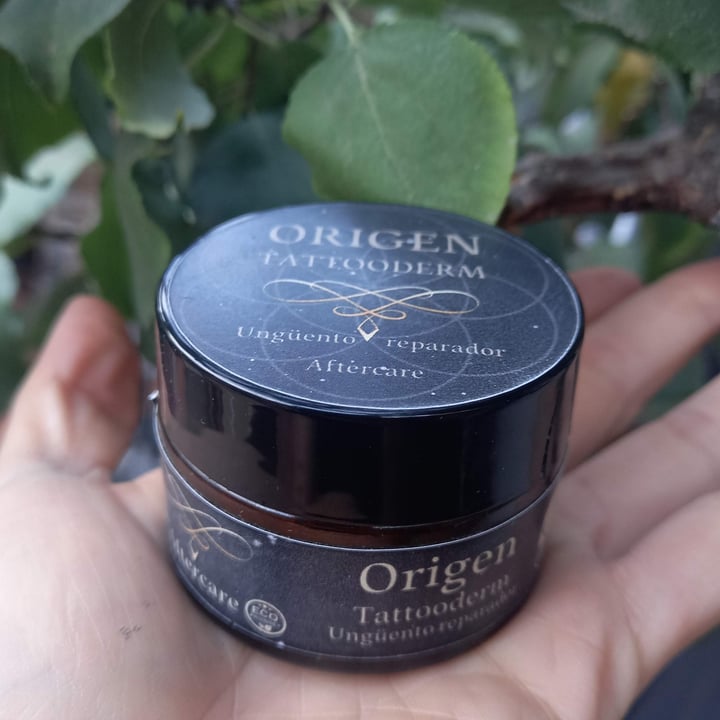 photo of Origen aftercare Tattooderm aftercare shared by @barbink on  01 Apr 2024 - review
