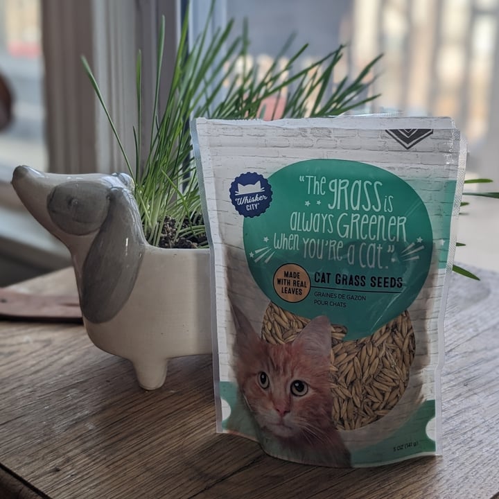 photo of Whisker City Cat Grass Seeds shared by @howie-meowie on  18 Mar 2024 - review