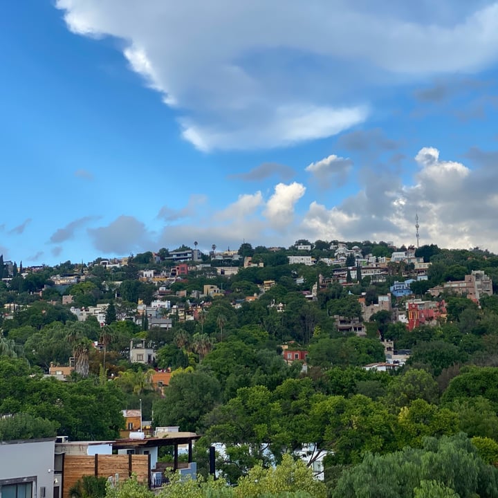 photo of The Rooftop at Selina Risotto de vegetales (veganizado) shared by @juenmexico on  29 Jul 2024 - review